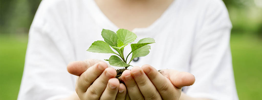 programa de educação ambiental nas empresas