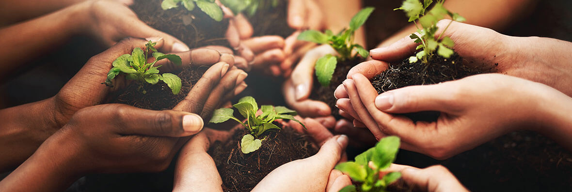 Dia Nacional da Conscientização sobre Mudanças Climáticas