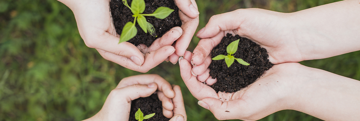 importância do licenciamento ambiental