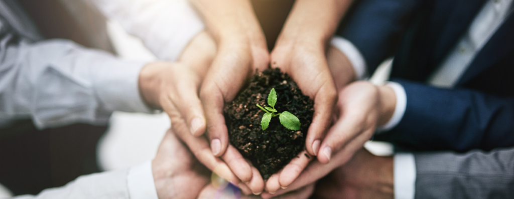 benefícios da compostagem