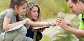 Dia Nacional da Educação Ambiental