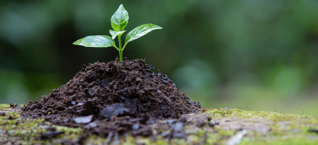 Avaliação Ambiental