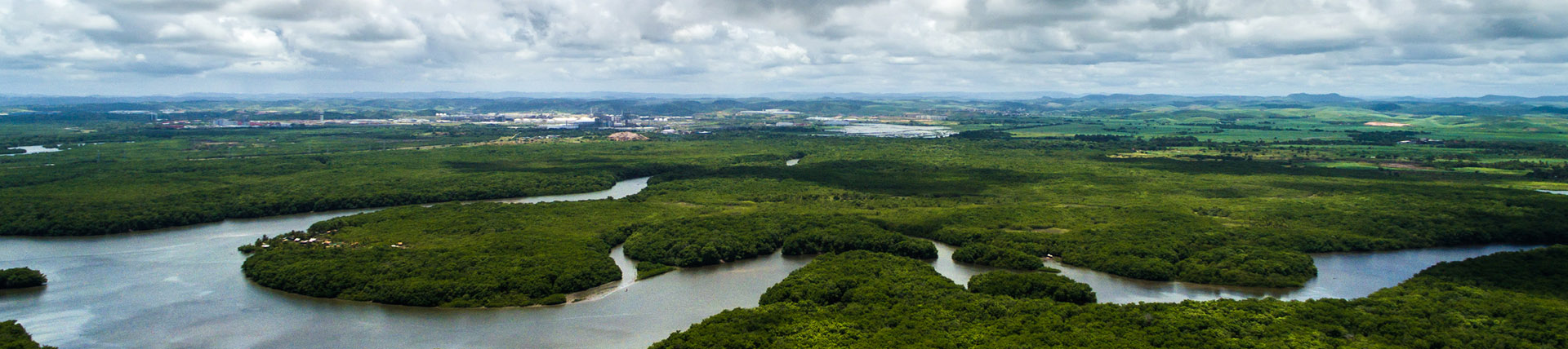 dia da amazônia