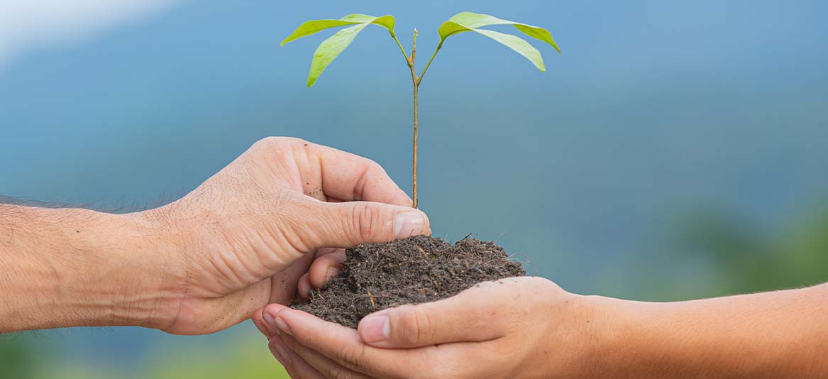 Engenheiro Ambiental