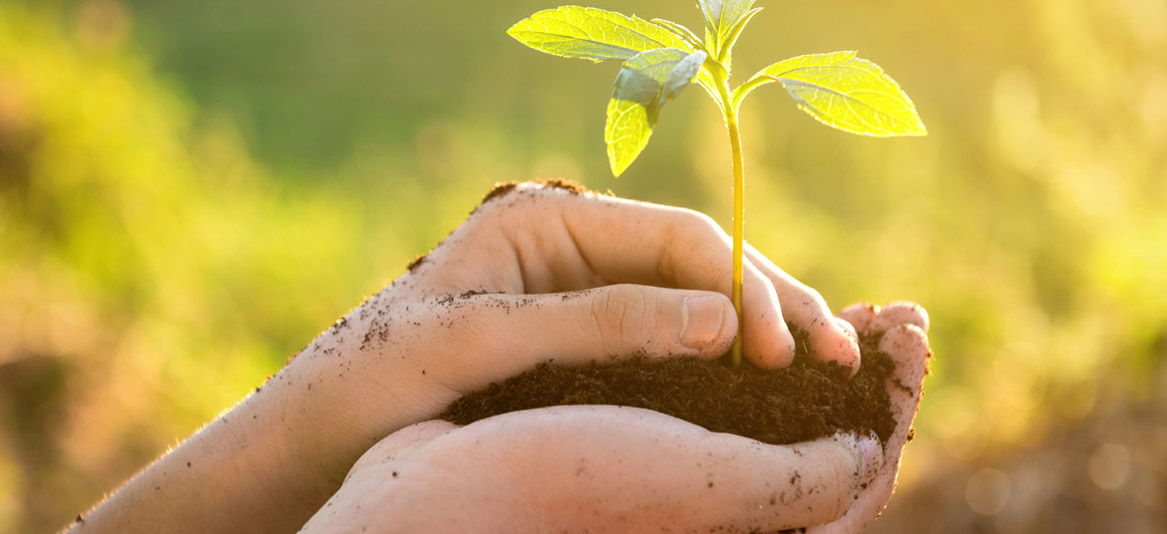 Educação ambiental